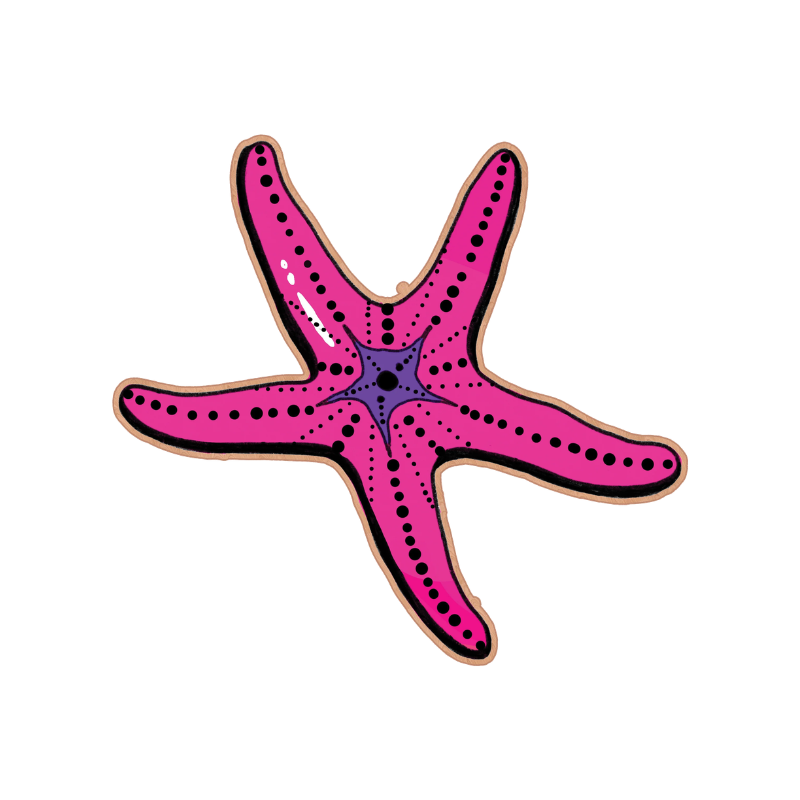 Wooden Pin: Starfish