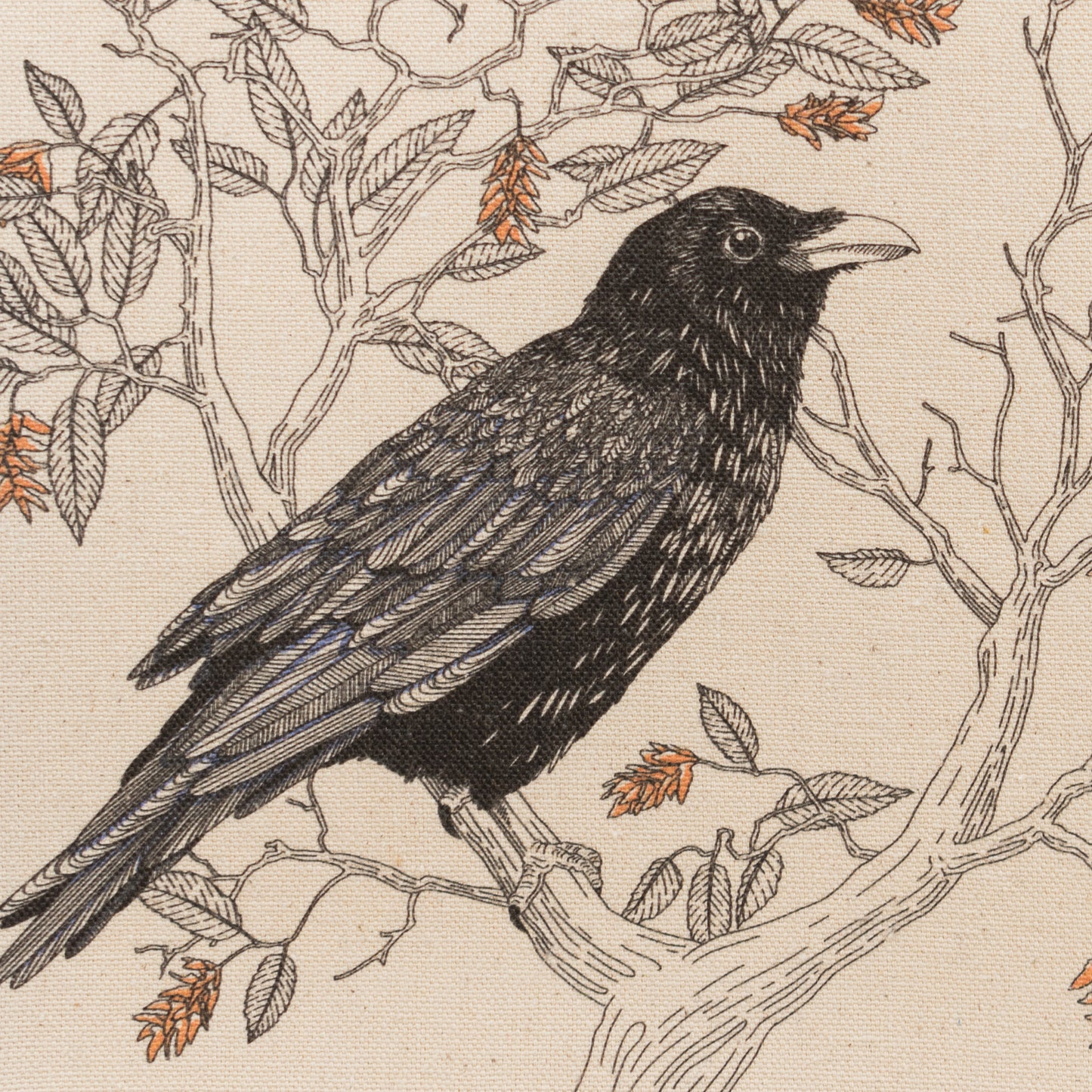 Tote Bag: Common Raven