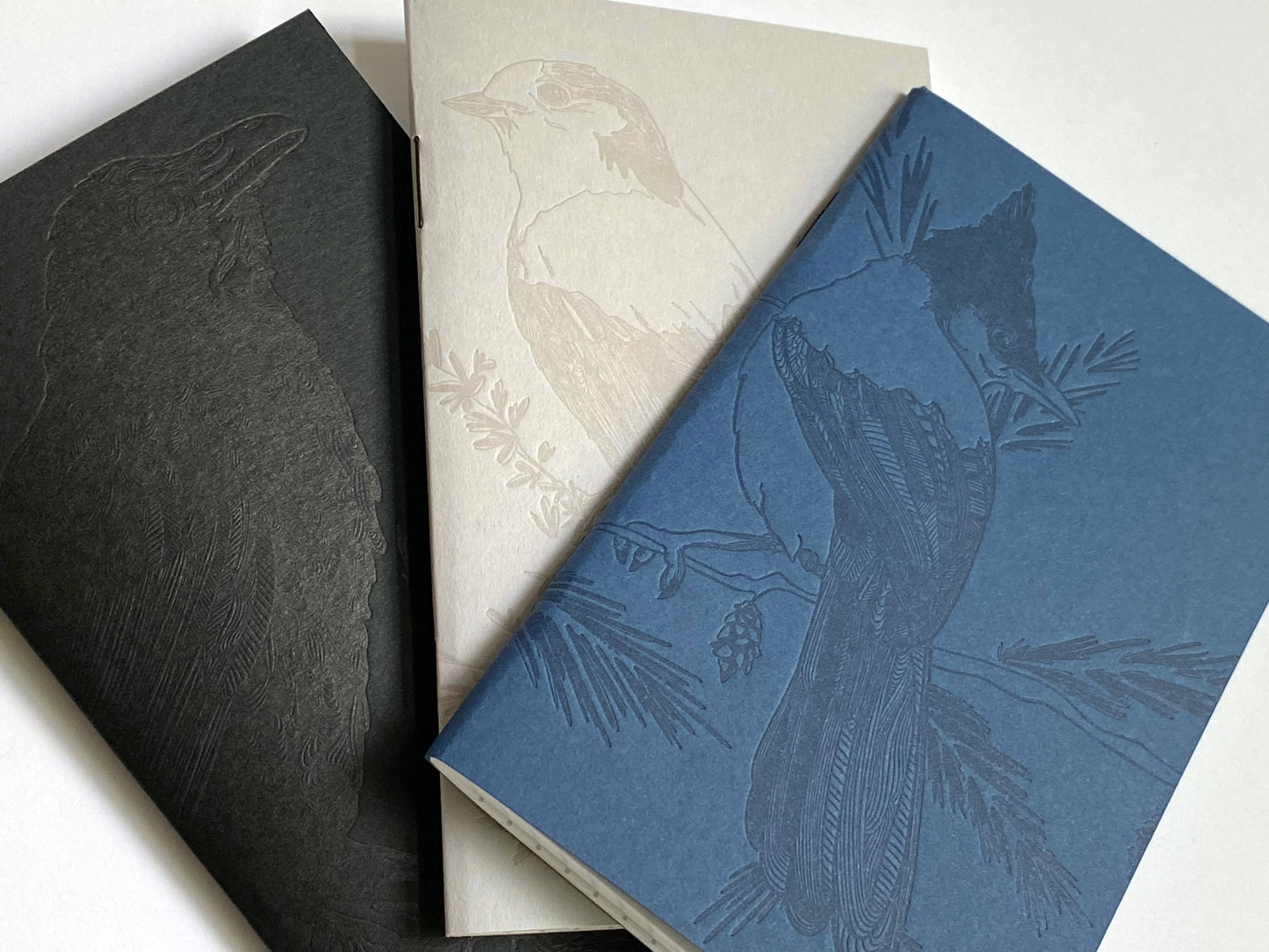 Notebook: Monochromatic Birds - Raven Large Notebook