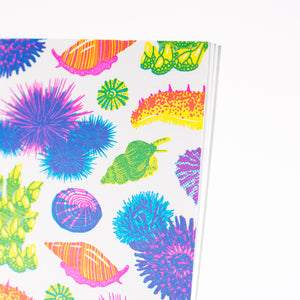 Notebook: Vibrant Life Series - Ocean Floor Pocket Notebook