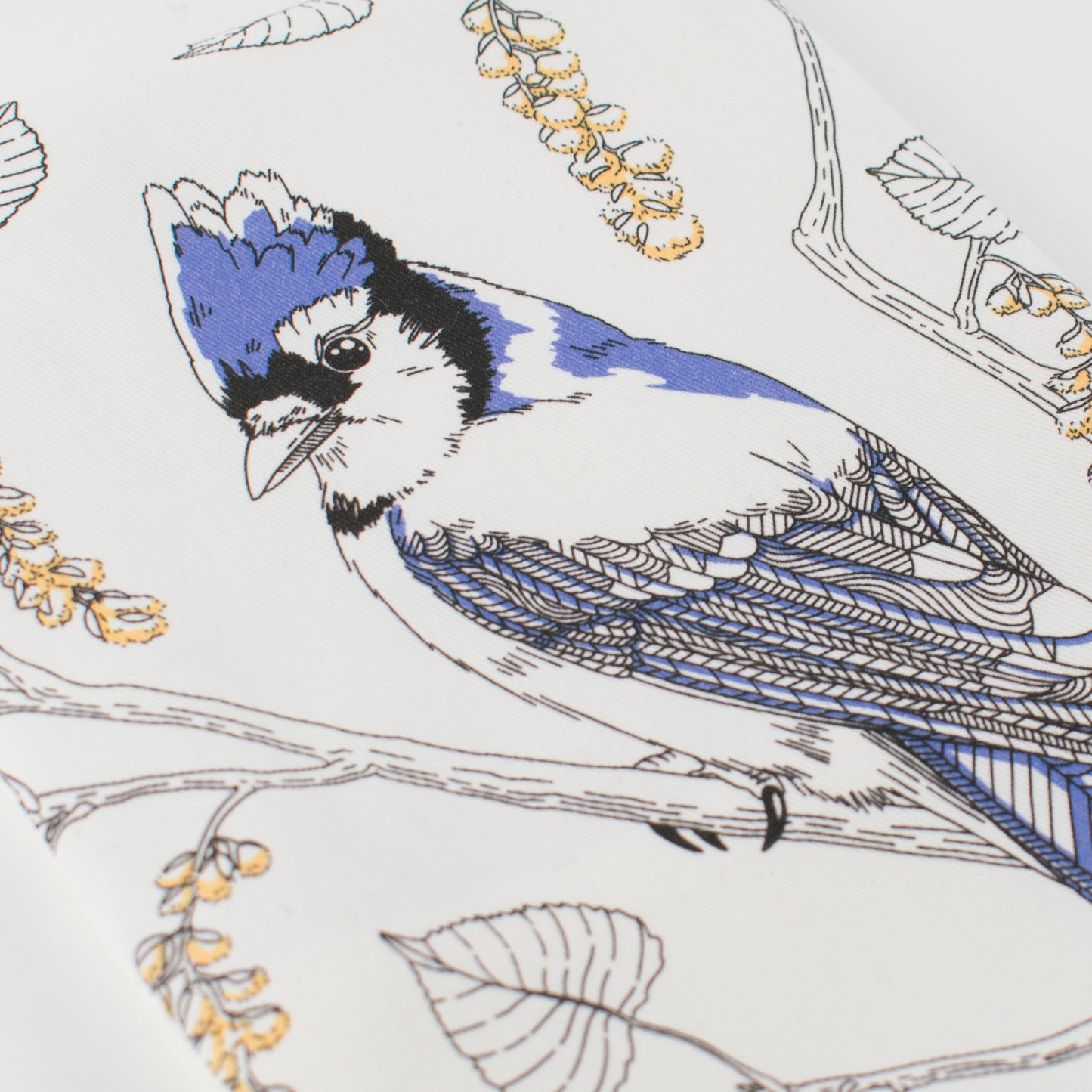 Tea Towel: Blue Jay