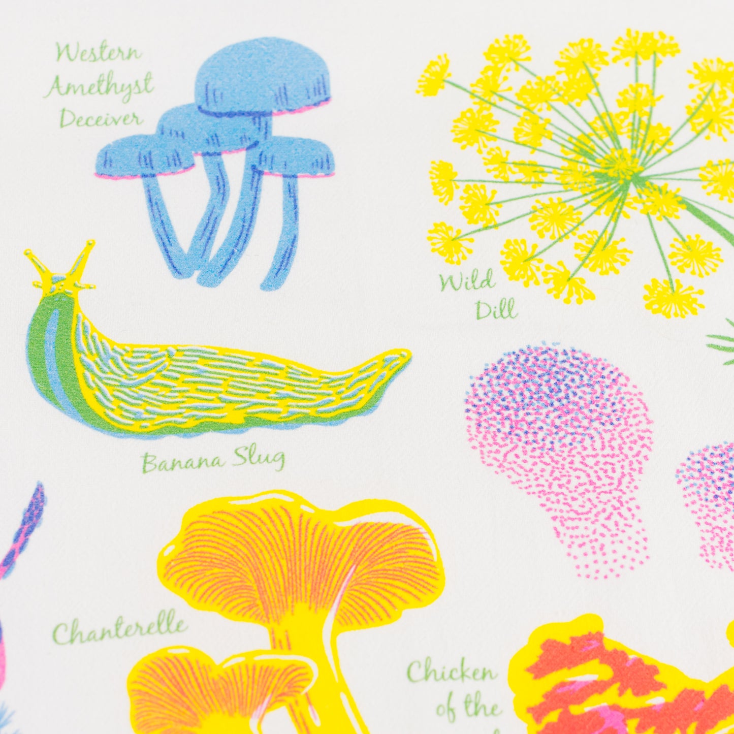 Tea Towel: Forest Floor - Vibrant Life Series