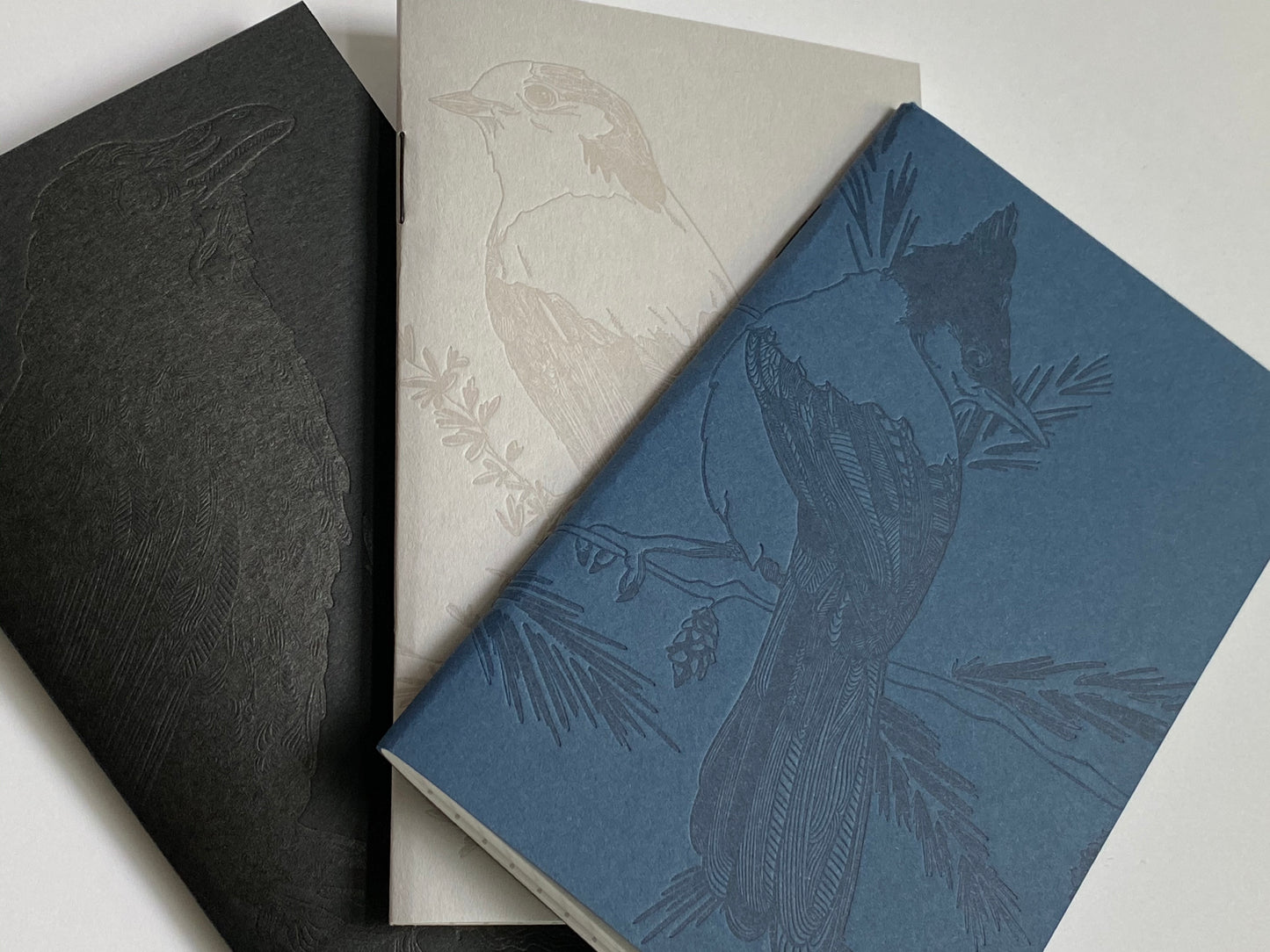Notebook: Monochromatic Birds - Steller's Jay Large Notebook