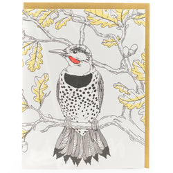 Card: Northern Flicker - Nature Birds Series