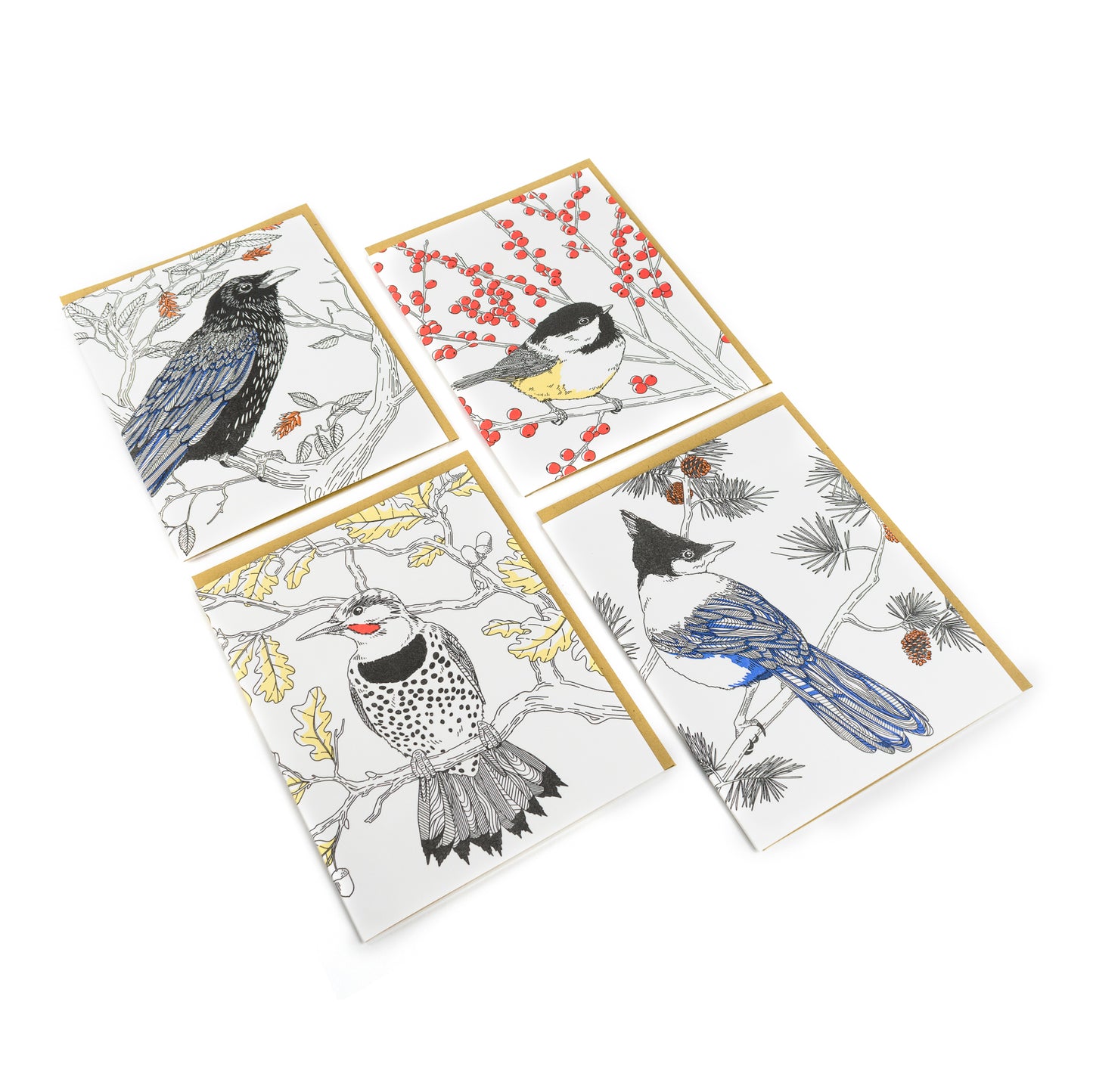 Card: Black-capped Chickadee - Nature Bird Series