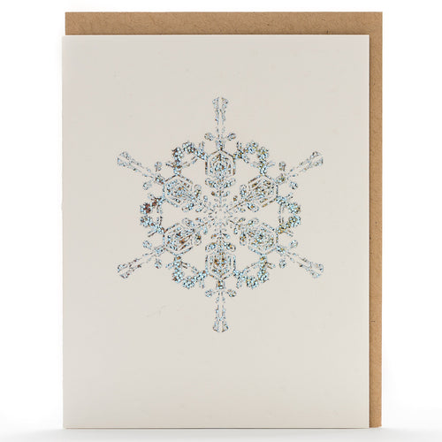 Card: Snowflakes Holographic Silver