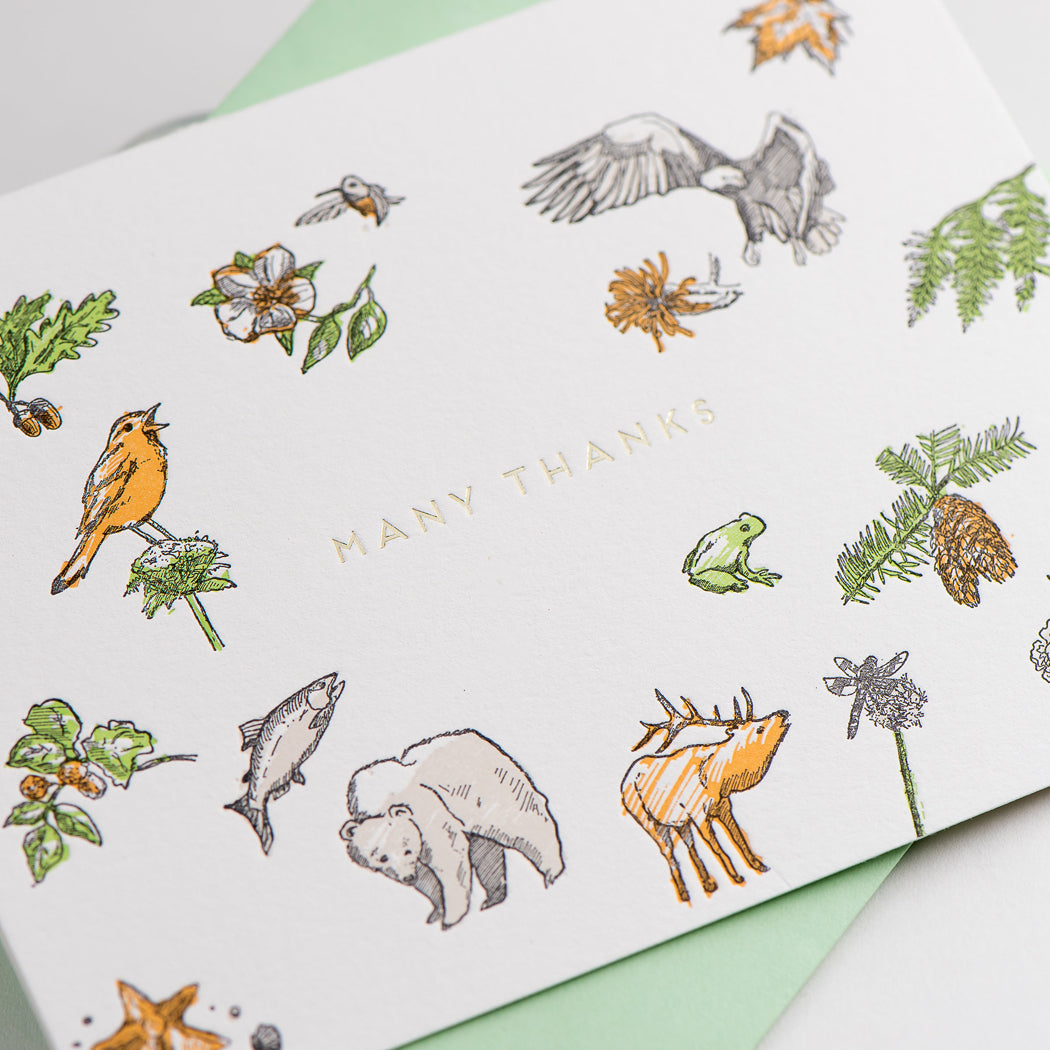 Card: Many Thanks Flora & Fauna