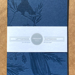 Notebook: Monochromatic Birds - Steller's Jay Large Notebook