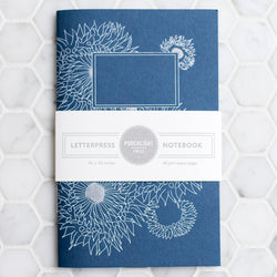 Notebook: Aquatic Series - Sea Anemone Pocket Notebook