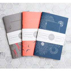 Notebook: Aquatic Series - Pocket Notebooks (Set of 3)