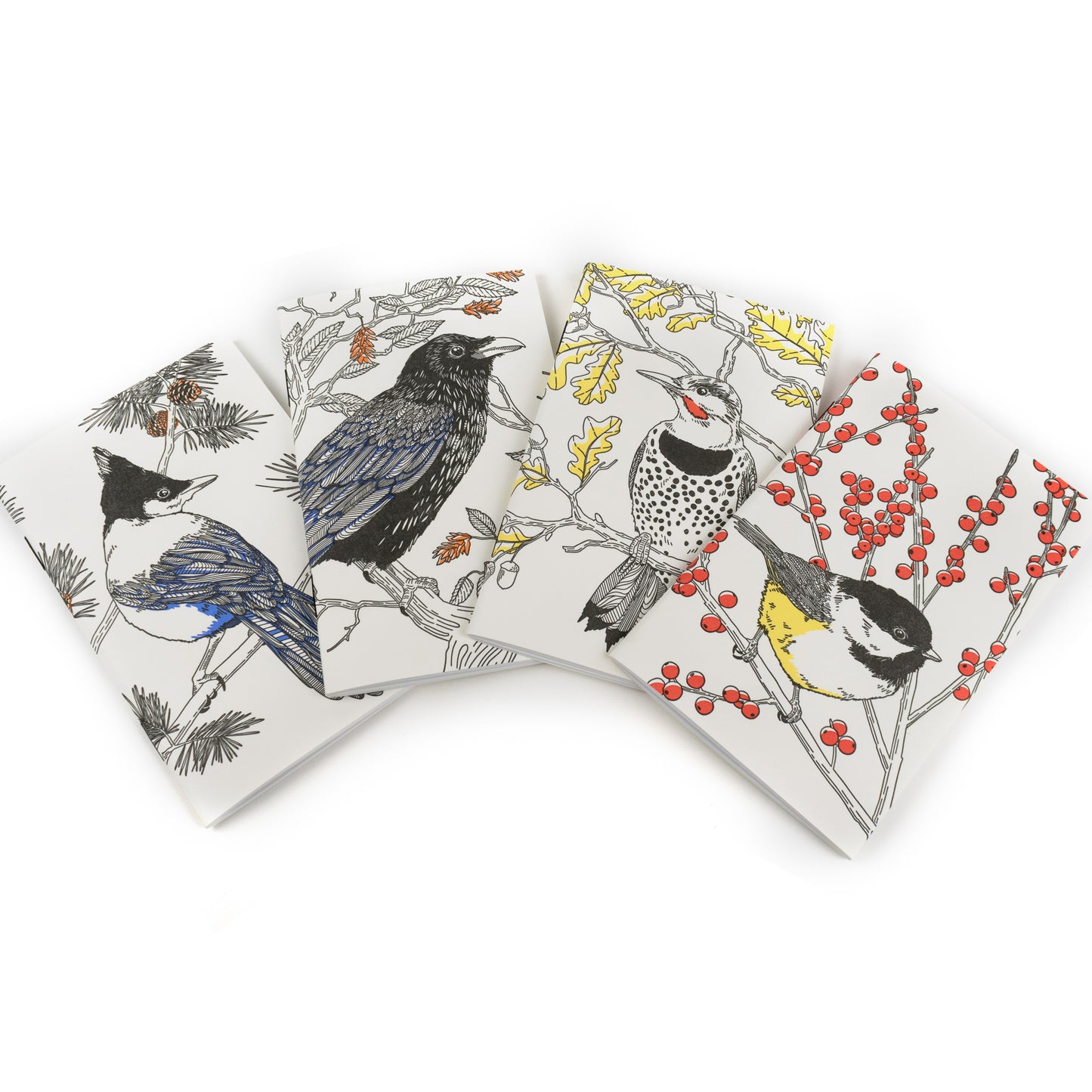Notebook: Nature Birds - Northern Flicker Pocket Notebook