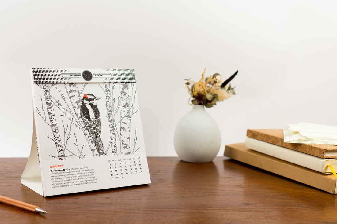 2023 Calendar - Birds of North America