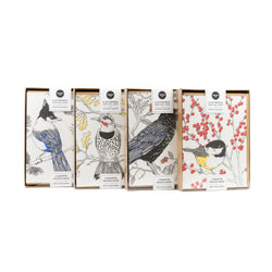 Birds of North America - Assorted Set of 8 Letterpress Cards