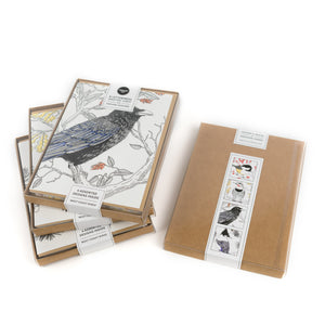 Birds of North America - Assorted Set of 8 Letterpress Cards