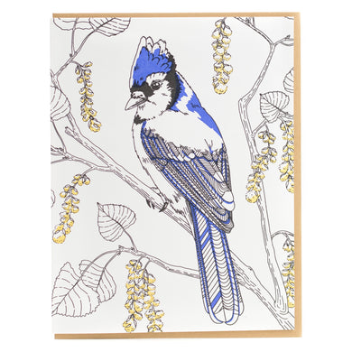 Card: Jay Greeting Card - Nature Birds Collection