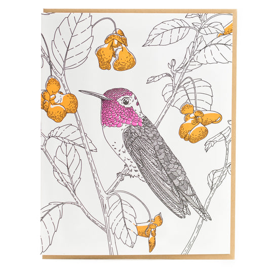 Card: Anna's Hummingbird Greeting Card - Nature Birds Collection