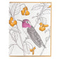 Card: Anna's Hummingbird Greeting Card - Nature Birds Collection