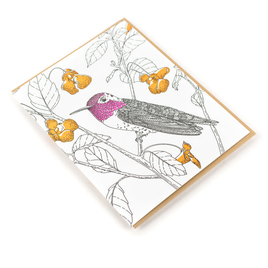 Card: Anna's Hummingbird Greeting Card - Nature Birds Collection