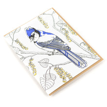 Blue Jay Greeting Card - Nature Birds Collection
