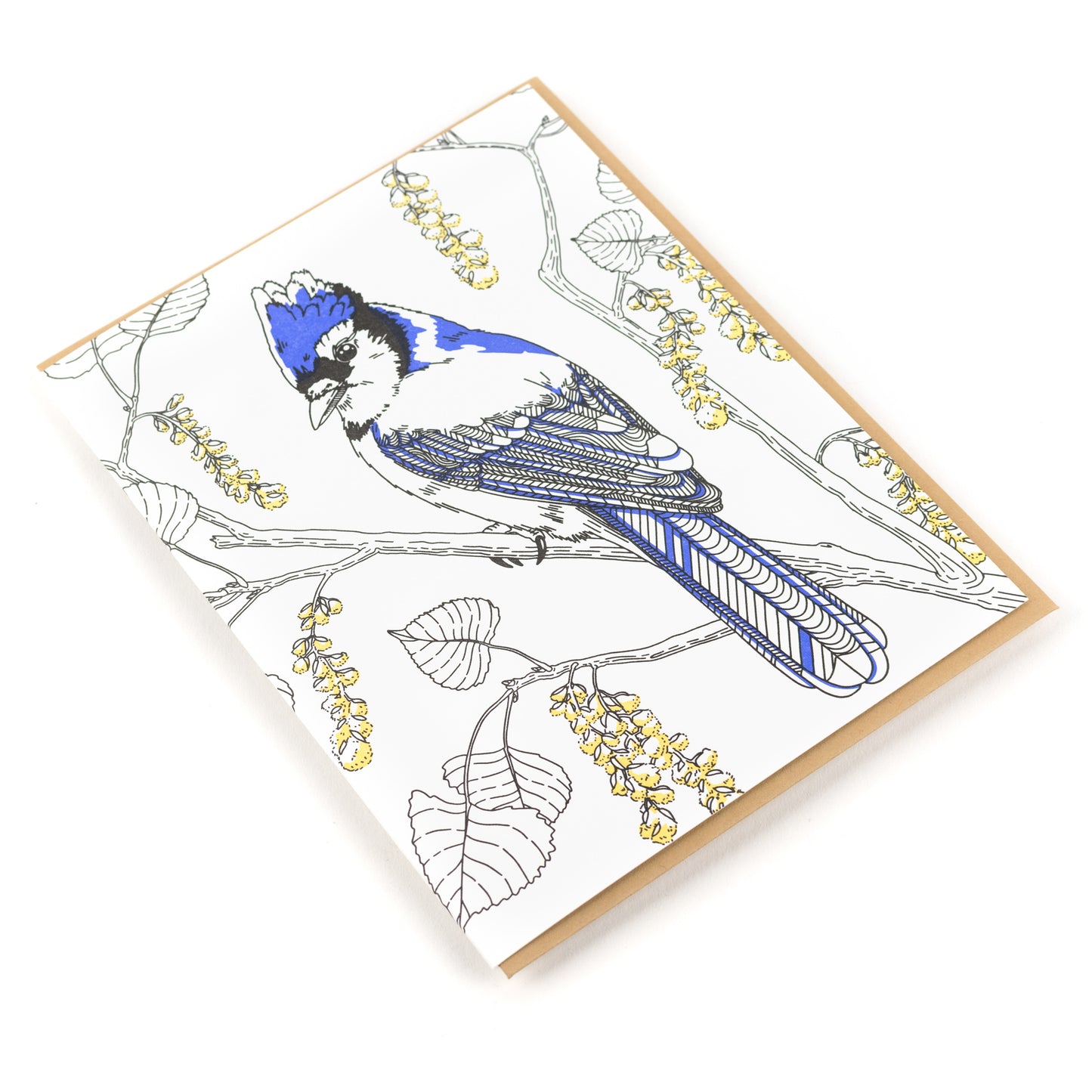 Card: Jay Greeting Card - Nature Birds Collection