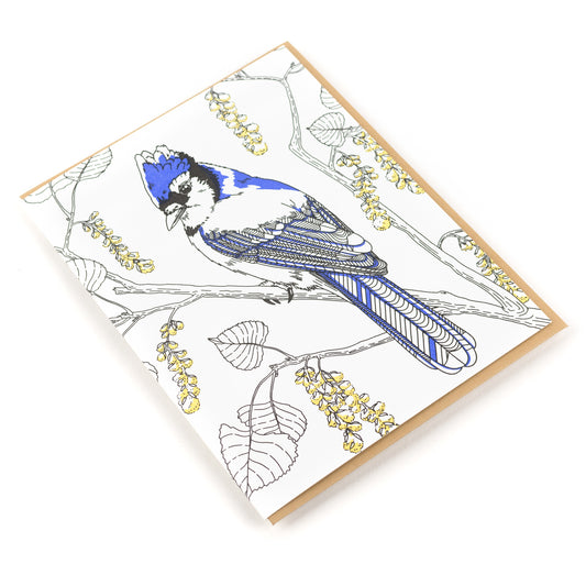 Card: Jay Greeting Card - Nature Birds Collection