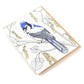Card: Jay Greeting Card - Nature Birds Collection