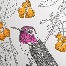 Card: Anna's Hummingbird Greeting Card - Nature Birds Collection