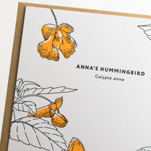 Anna's Hummingbird Greeting Card - Nature Birds Collection