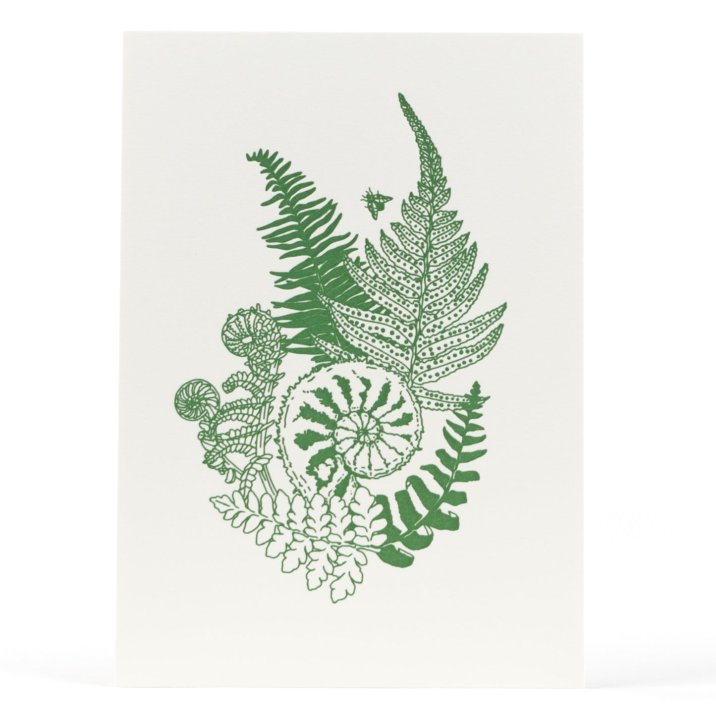 Art Print: Fiddlehead Ferns Letterpress Art Print