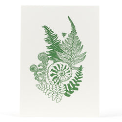 Art Print: Fiddlehead Ferns Letterpress Art Print