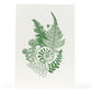 Art Print: Fiddlehead Ferns Letterpress Art Print
