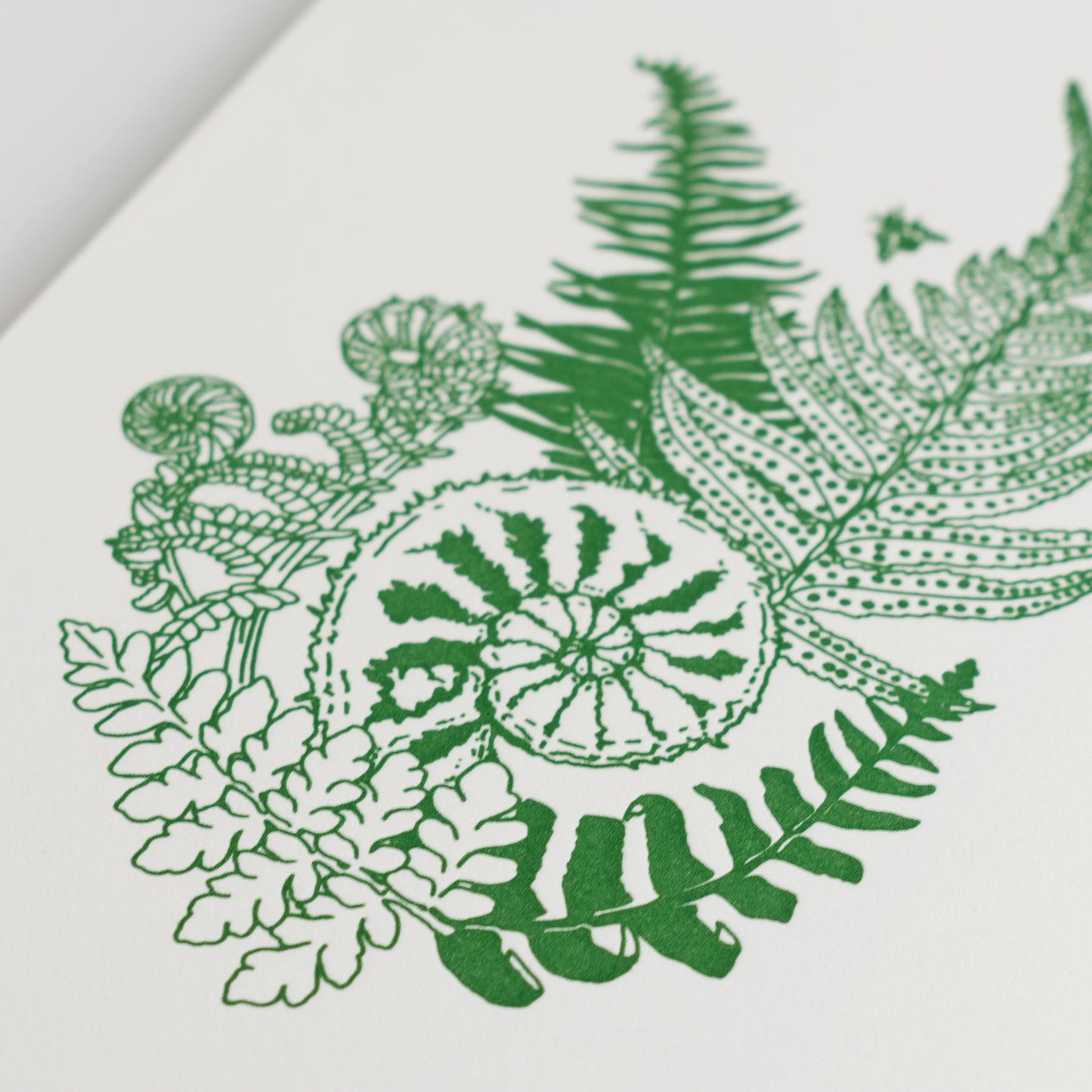 Art Print: Fiddlehead Ferns Letterpress Art Print
