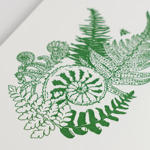 Art Print: Fiddlehead Ferns Letterpress Art Print