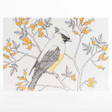Letterpress Postcard Set - Nature Birds