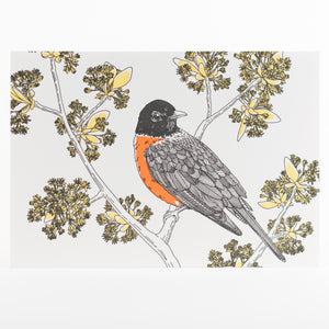Letterpress Postcard Set - Nature Birds