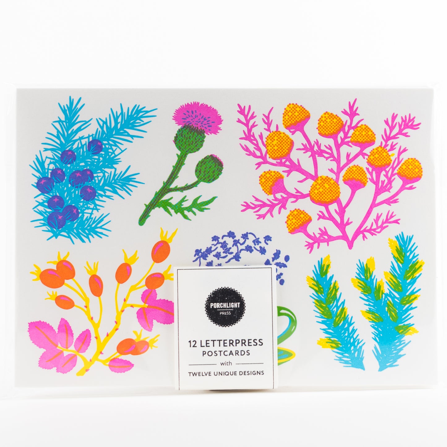 Letterpress Postcard Set - Vibrant Life