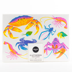 Letterpress Postcard Set - Vibrant Life