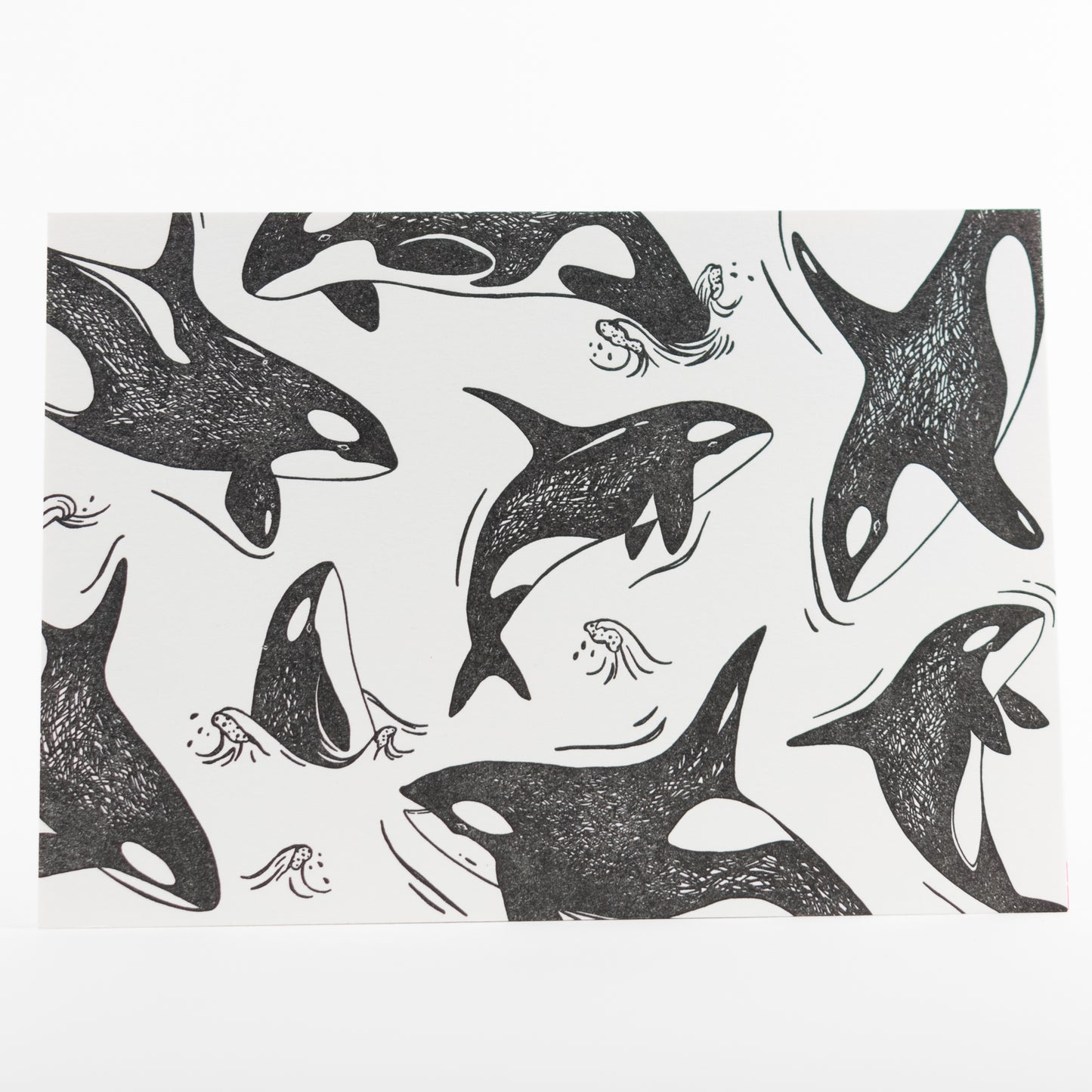 Letterpress Postcard Set - Keystone Species