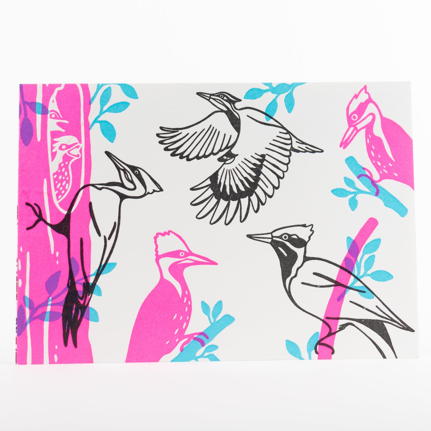 Letterpress Postcard Set - Keystone Species