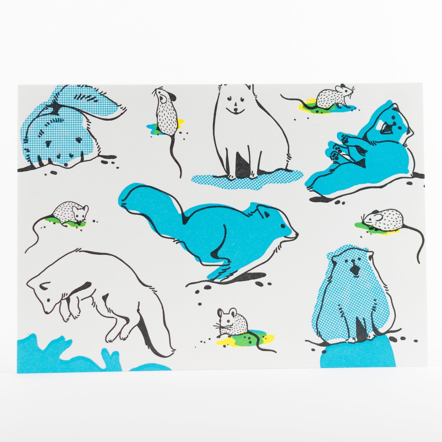 Letterpress Postcard Set - Keystone Species