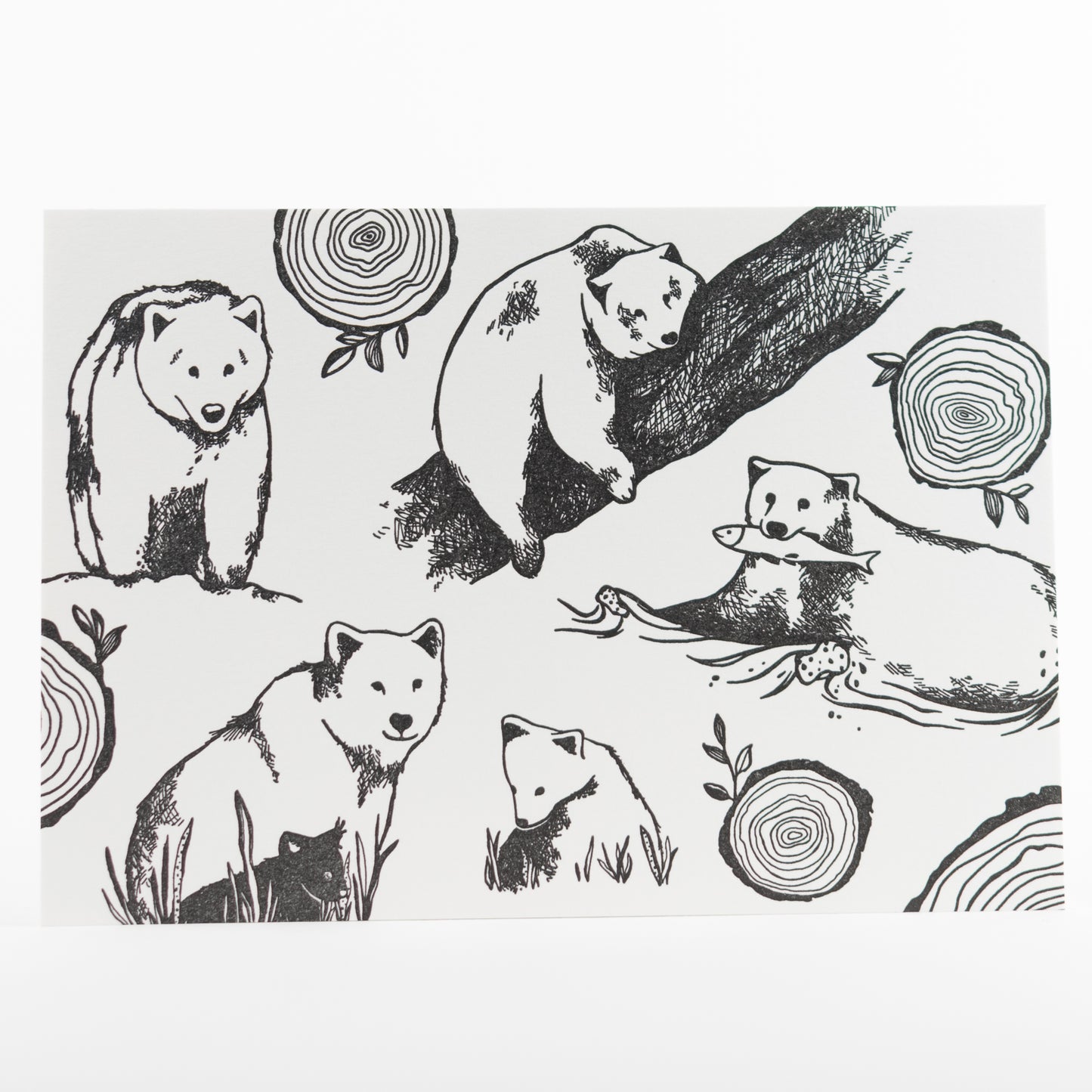 Letterpress Postcard Set - Keystone Species