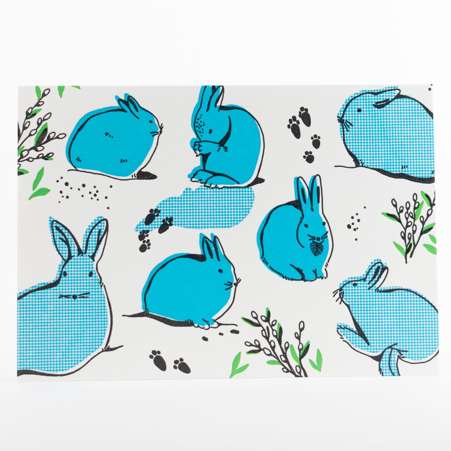 Letterpress Postcard Set - Keystone Species