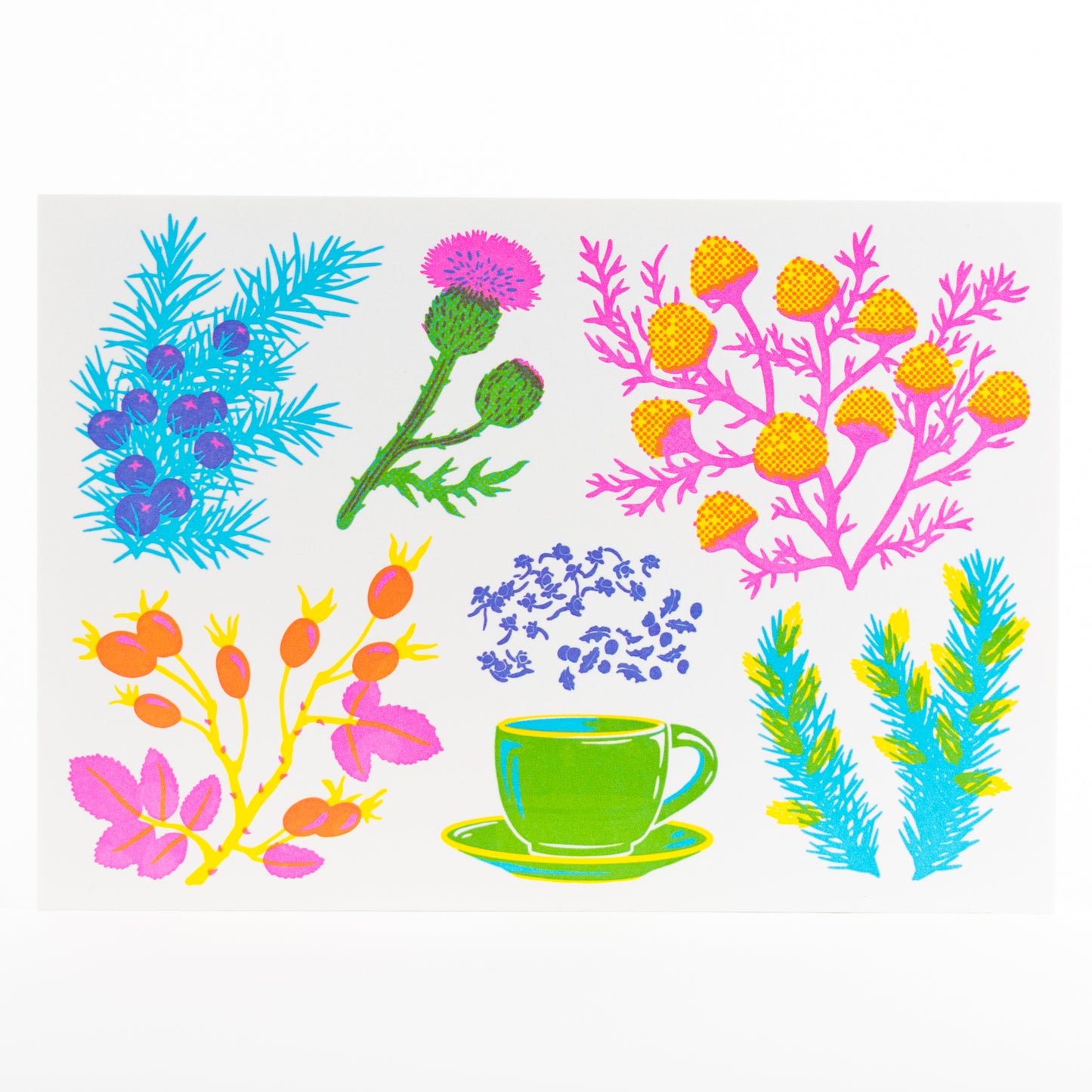 Letterpress Postcard Set - Vibrant Life