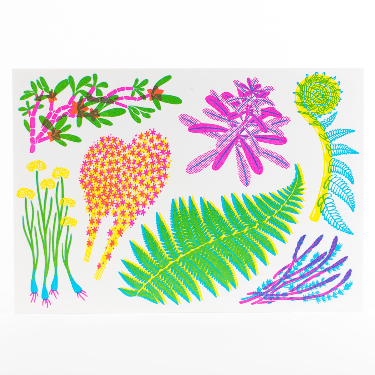 Letterpress Postcard Set - Vibrant Life