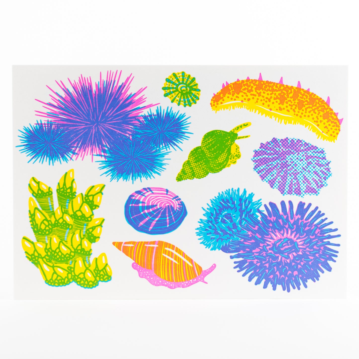 Letterpress Postcard Set - Vibrant Life