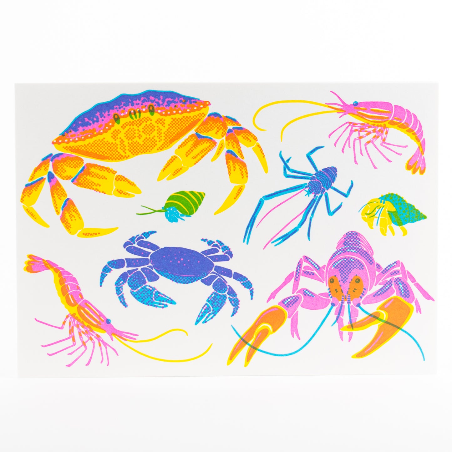 Letterpress Postcard Set - Vibrant Life