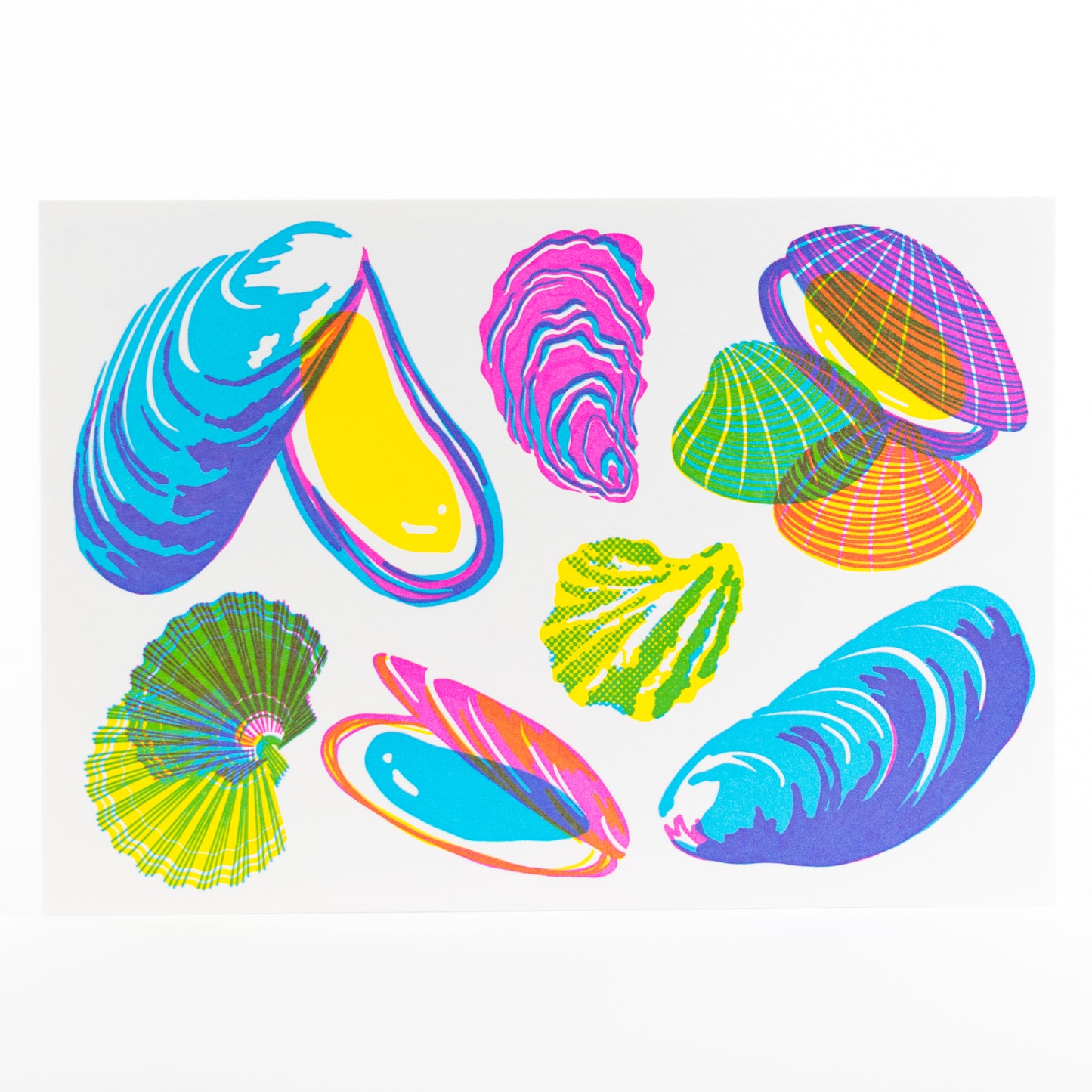 Letterpress Postcard Set - Vibrant Life