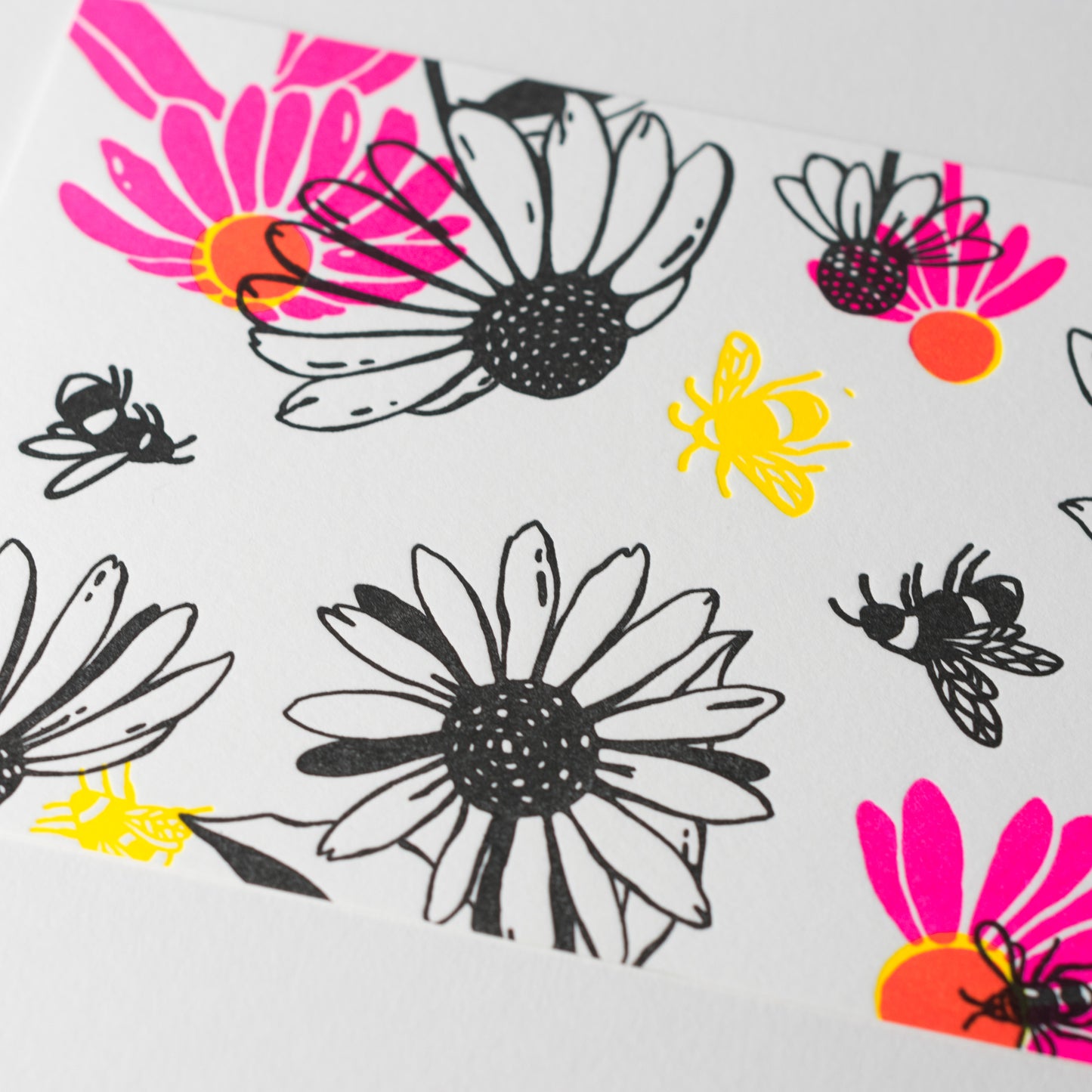 Letterpress Postcard Set - Keystone Species