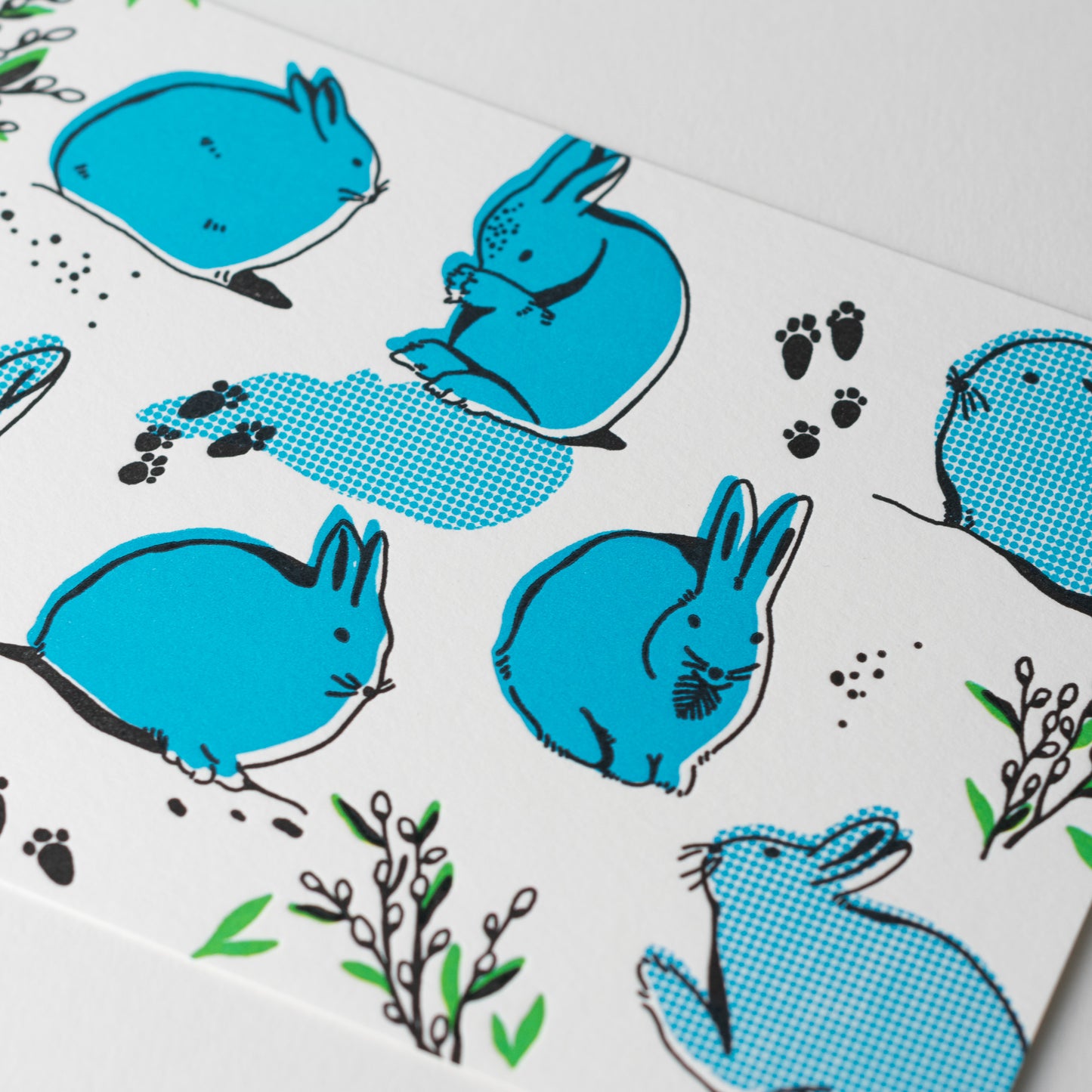 Letterpress Postcard Set - Keystone Species