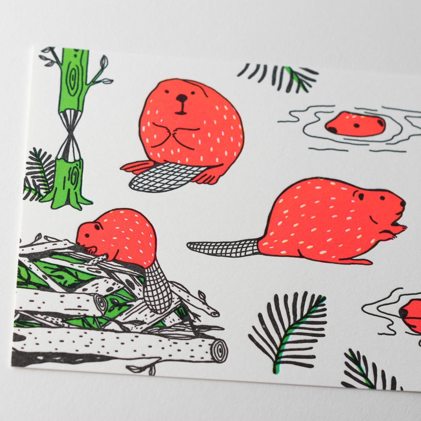 Letterpress Postcard Set - Keystone Species